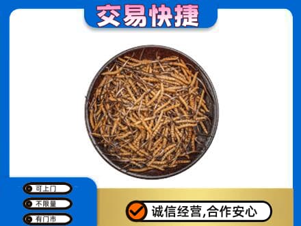 哈密市伊州礼品回收虫草.jpg