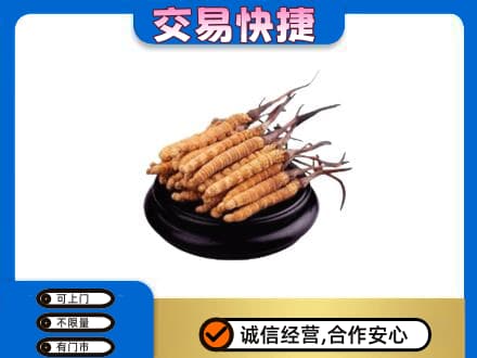 哈密市伊州礼品回收散虫草.jpg